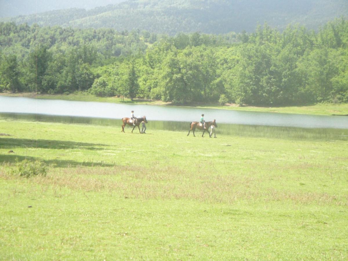 Cosy Lake House, Μια Ανάσα Πριν Τη Λίμνη Kalivia  Ngoại thất bức ảnh